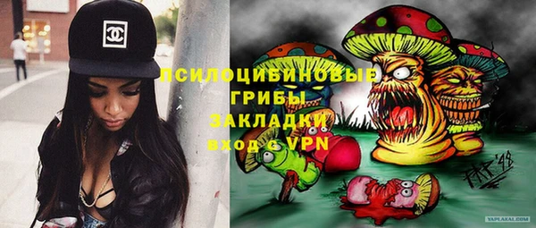 шишки Алексин