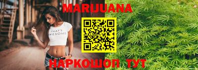 сатива Рязань