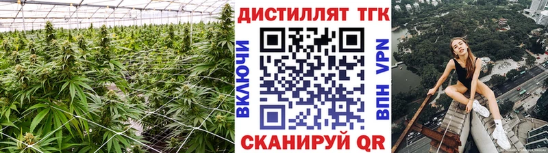 ТГК гашишное масло  Тейково 