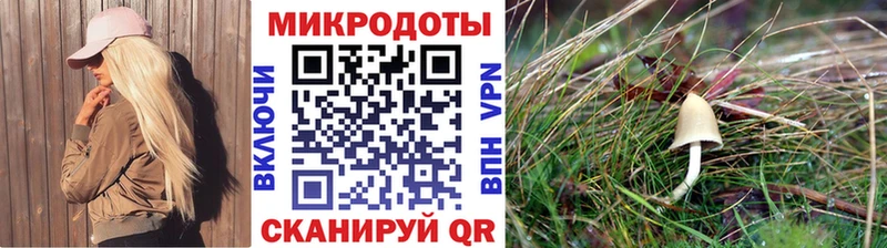 Галлюциногенные грибы Psilocybine cubensis  Тейково 