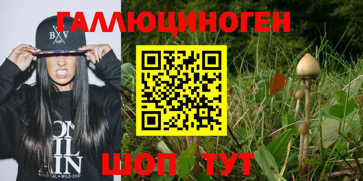 Псилоцибиновые грибы мицелий Тейково